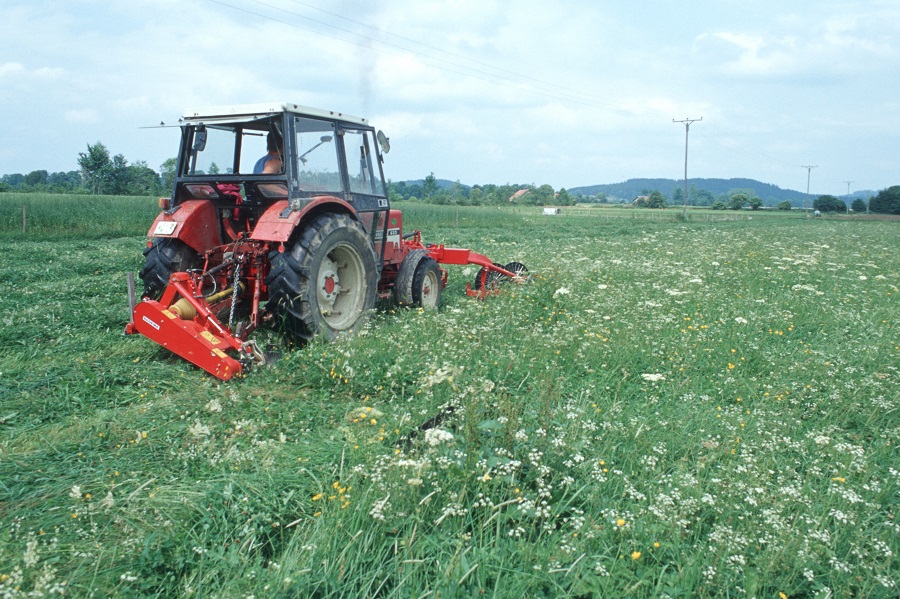 Insektenfreundliches Mähen von Grünland mit einem Messerbalken