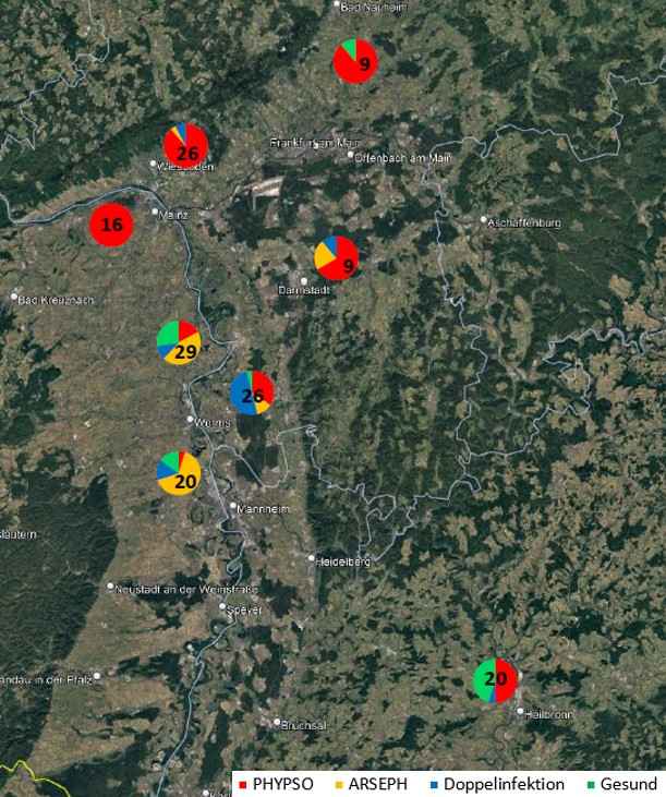 Deutschlandkarte mit einer Erregerverteilung ermittelt durch Monitoring. 