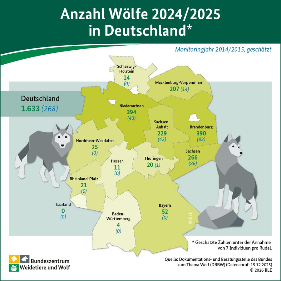 Infografik zum Thema wie viele Wölfe gibt es in Deutschland