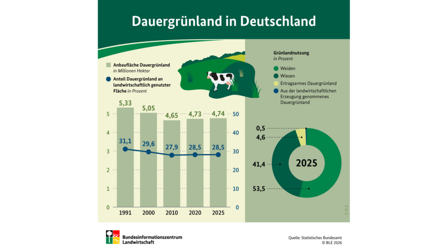 Infografik: Dauergrünland in Deutschland