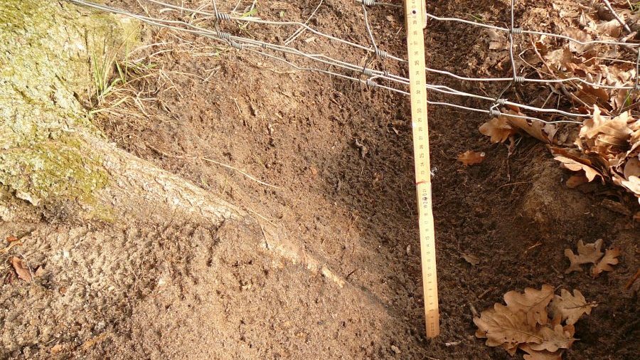 Untergrabung Herdenschutzzaun durch Wolf