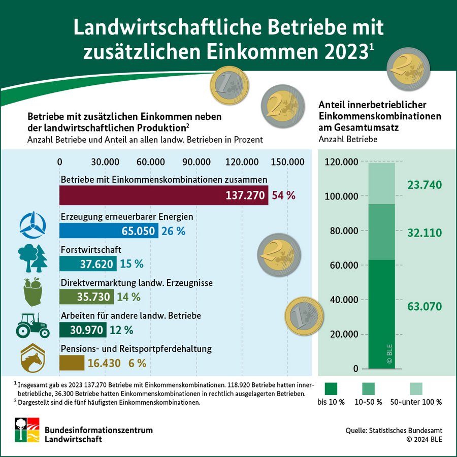 Infografik Einkommenskombinationen