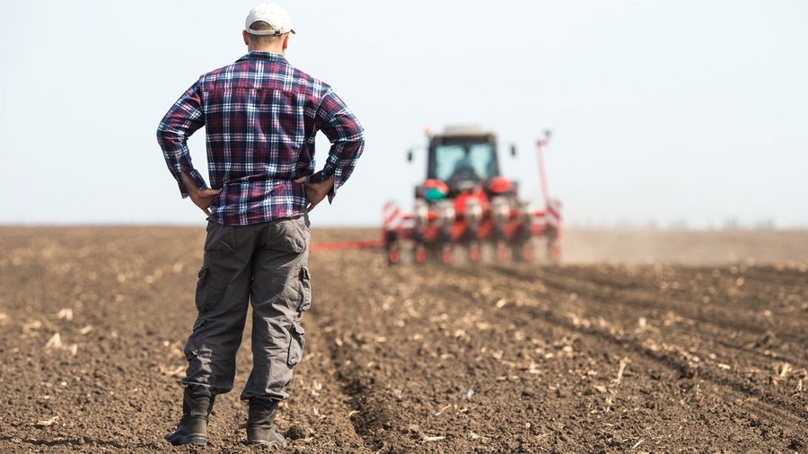 Landwirt steht auf einem Acker