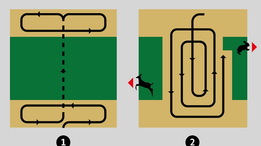 Schematische Darstellung der Mahd auf schmalen und langen Parzellen. 