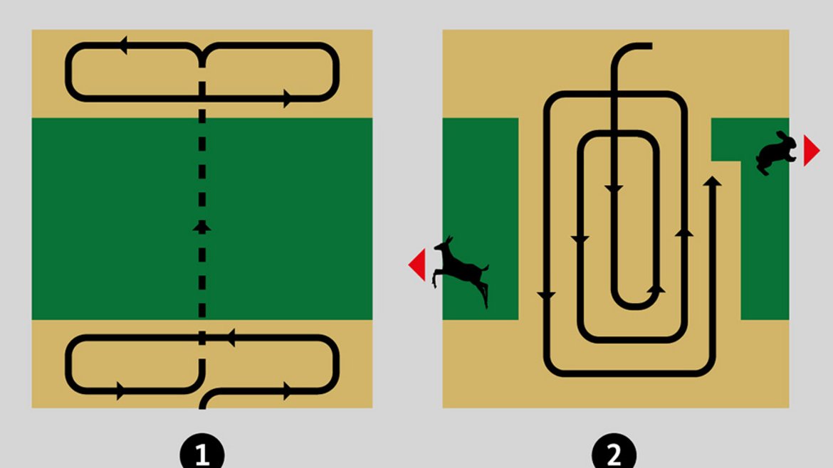 Schematische Darstellung der Mahd auf schmalen und langen Parzellen. 