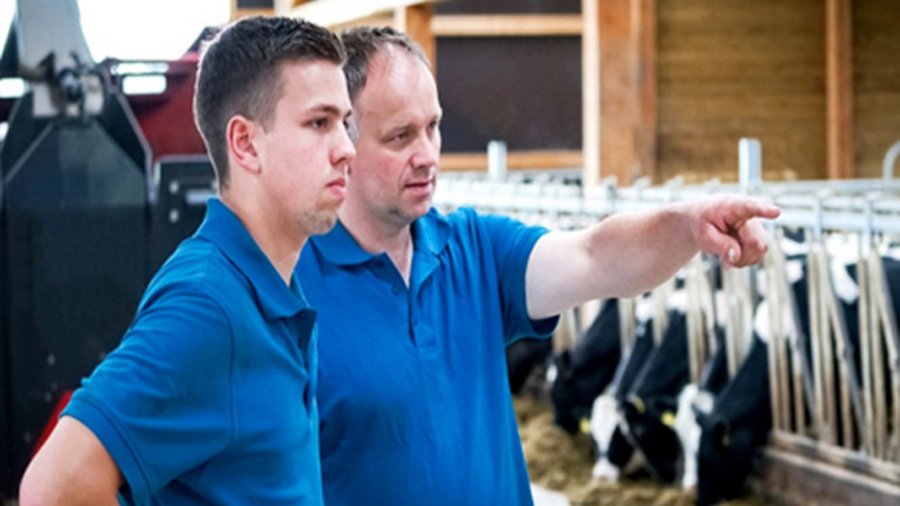 Vater und Sohn stehen im Kuhstall und besprechen sich