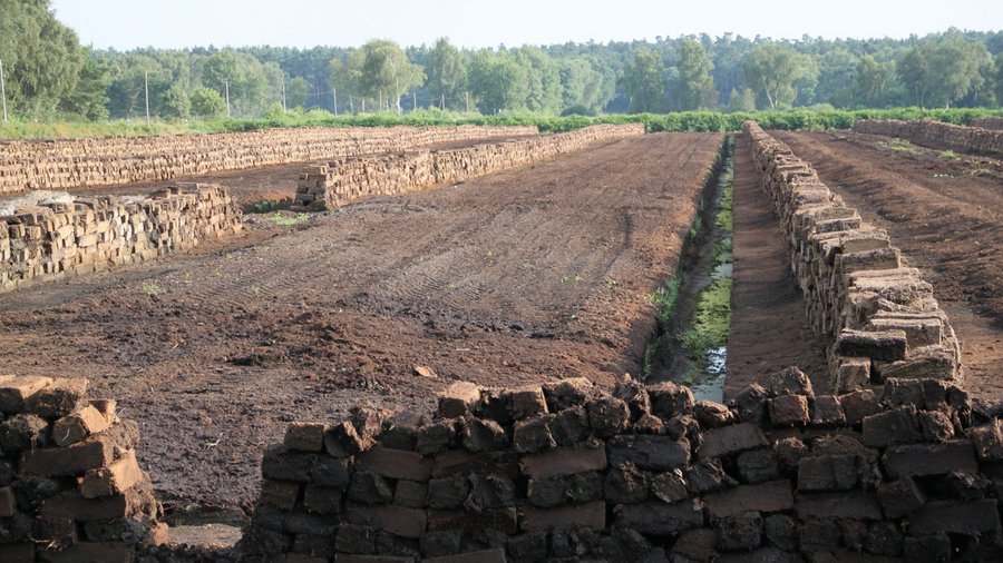 Torfabbau