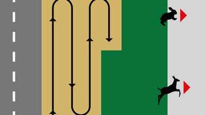 Schematische Darstellung sehr langer oder straßennaher Parzellen. 