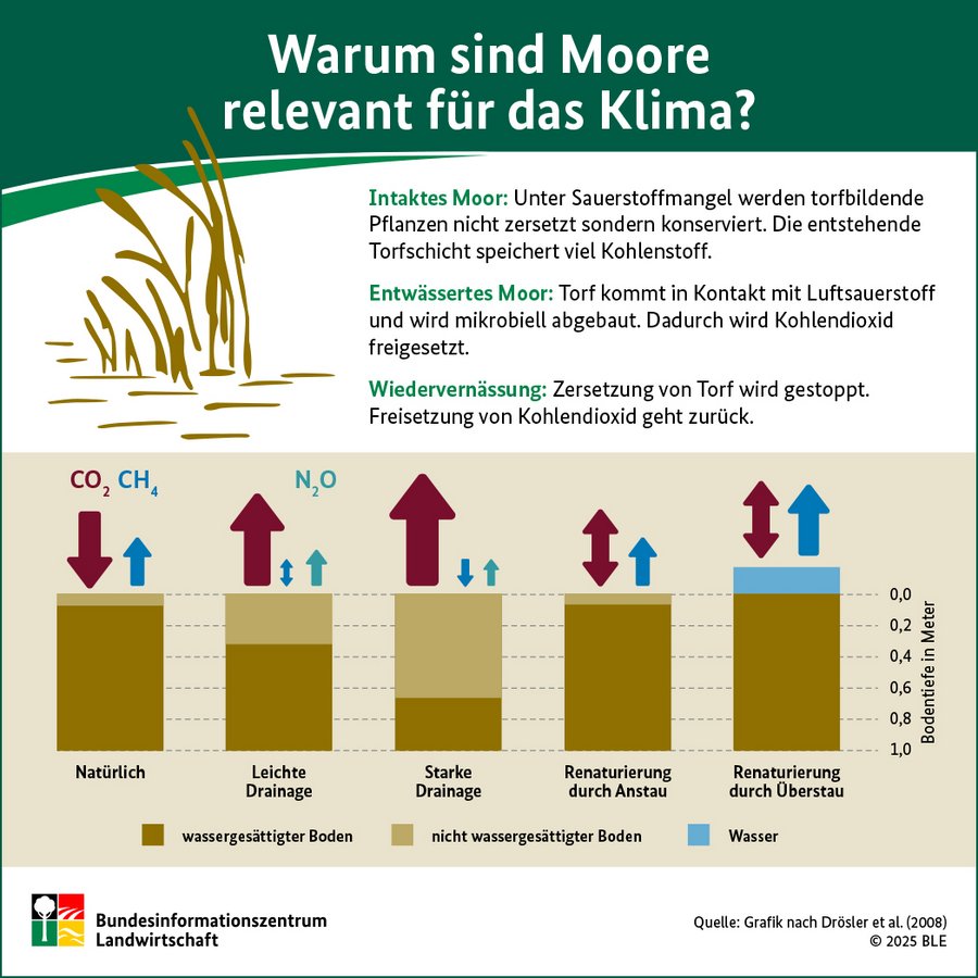 Infografik des Bundesinformationszentrum Landwirtschaft zum Thema "Warum sind Moore relevant für das Klima"?