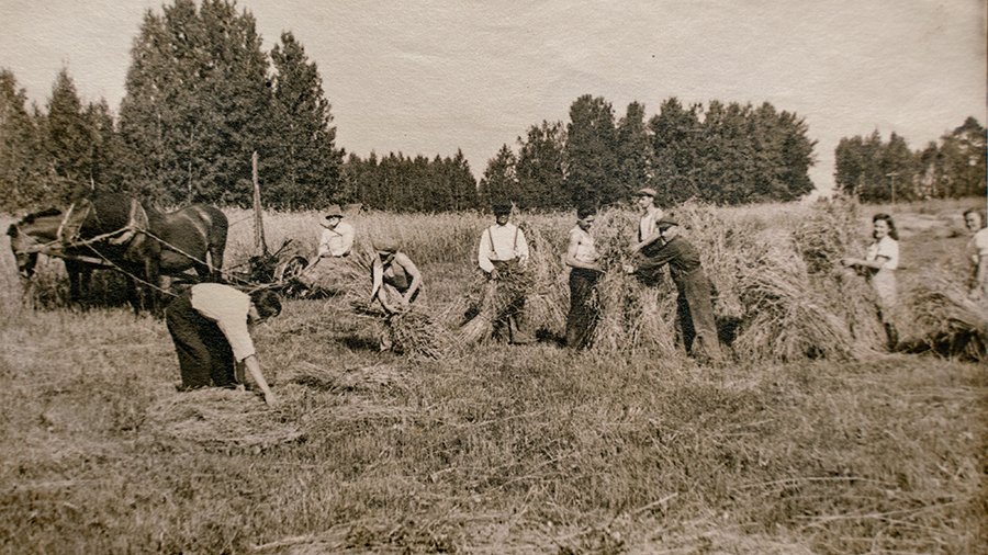 Bäuerinnen und Bauern bei der Getreideernte etwa im Jahr 1920, schwarzweiß, 2 Pferde ziehen Schneidemaschine, 9 Menschen überwiegend beim Aufstellen von Garben.