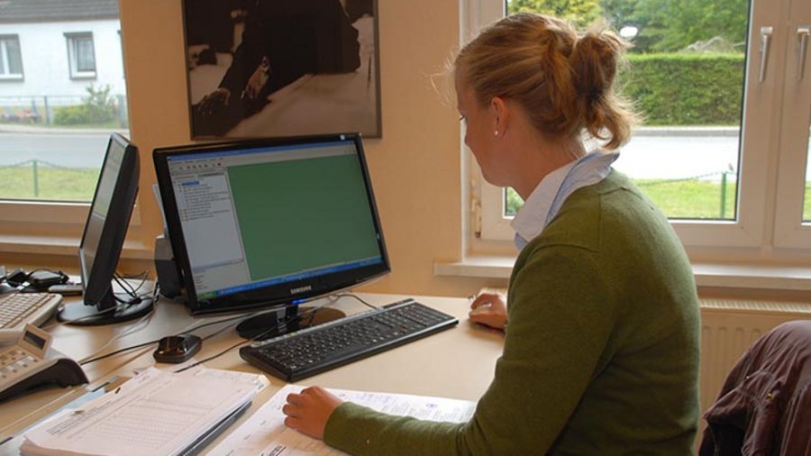 Frau arbeitet an einem Computer.
