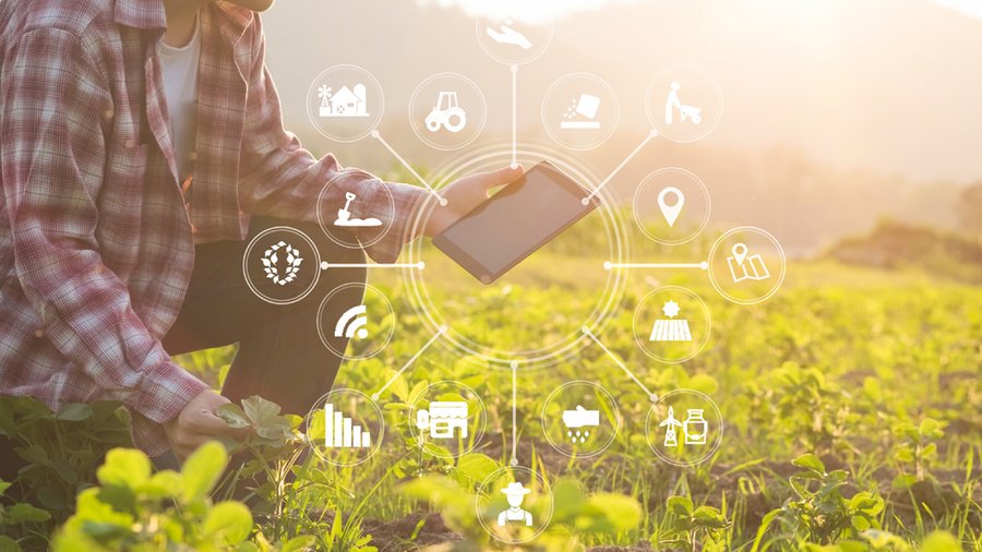 Landwirt kniet auf dem Feld und nutzt Tablet für verschiedene Anwendungen